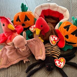 Ty Beanie Baby Collection